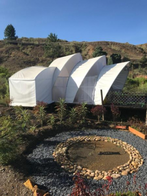 Glamping Monarca v/leyva
